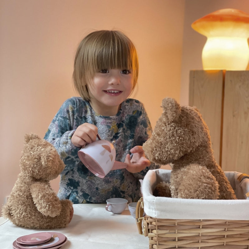 EGMONT TOYS Tin Tea Set in a Wicker Picnic Basket Hedgehog Home